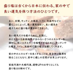 盛り塩 2026年ラッキーカラー <2個セット...の詳細画像4