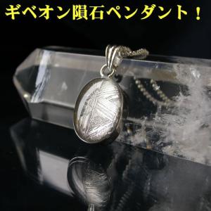 パラサイト 隕石 セイムチャン隕石 ペンダントトップ メテオライト