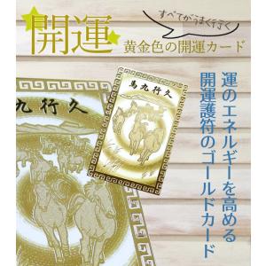 パワーストーン 護符 すべてうまくいく! 馬九...の詳細画像1