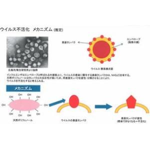 BOSCH AP-T08 エアコンフィルター ...の詳細画像1