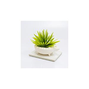 自然気化式ハイブリッド加湿器　ミスティデュオ　はりねずみ　リク