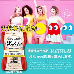 サプリメント [機能性表示食品] スベルティ おなかの脂肪