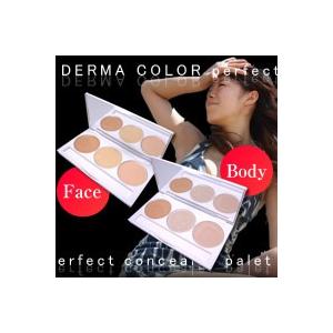 メール便送料無料　ダーマカラー パーフェクトコンシーラー パレット ボディ用　ウォータープルーフ　即...