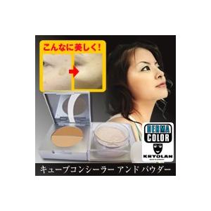 アザやタトゥー隠しに　ダーマカラー・キューブコンシーラー アンド パウダー　ウォータープルーフ　即納...