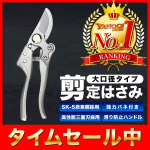 剪定はさみ プロ用 高級 剪定ばさみ DIY 農具 ハサミ 庭 ガーデニング 園芸 枝切り 枝切りばさみ ロック 作業 庭木｜blue-light-up