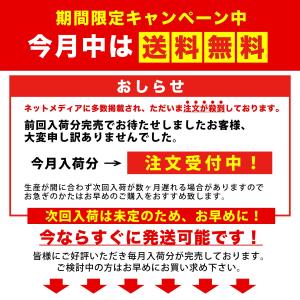 メイクブラシ メイクブラシセット 高級 馬毛 ...の詳細画像2