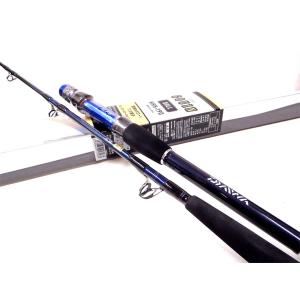 DAIWA（ダイワ） DAIWA DEEP ZONE GS ディープゾーン 200-205・R