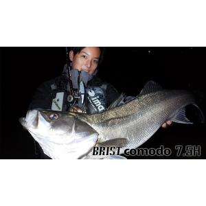 Fishman Fishman BRIST VENDAVAL 10.1M ブリスト ベンダバール10.1M