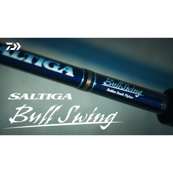 DAIWA SALTIGA C BullSwing ソルティガ キャスティング ブルスイング 80-...