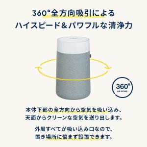 空気清浄機 ブルーエア Blue Max 32...の詳細画像4