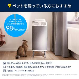 空気清浄機 ブルーエア DustMagnet ...の詳細画像2
