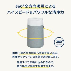 空気清浄機 ブルーエア Blue Max 32...の詳細画像3