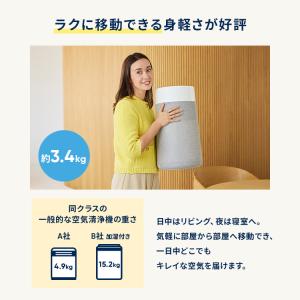 空気清浄機 ブルーエア Blue Max 32...の詳細画像5