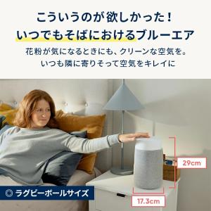 空気清浄機 ブルーエア Blue Mini M...の詳細画像4