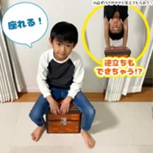 当店限定 座れる収納ボックス ドットチェスト ...の詳細画像5