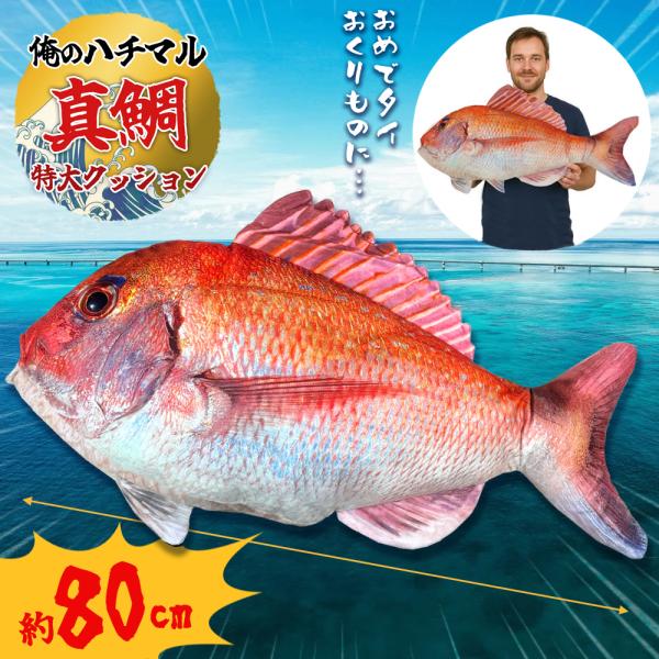 俺のハチマル！ 超特大 実物大 リアル 真鯛 BIG ぬいぐるみ クッション 80cm ジギング タ...