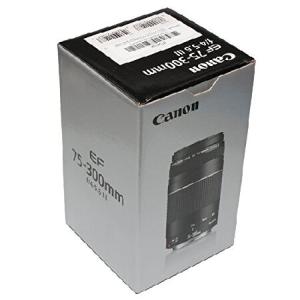 キャノンEF 75-300mm f/4-5.6...の詳細画像4