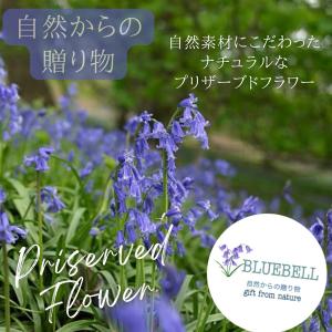 プリザーブドフラワー 仏花 ガラスドーム 仏壇...の詳細画像5