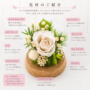 ペット供養 花 プリザーブドフラワー ガラスド...の詳細画像3