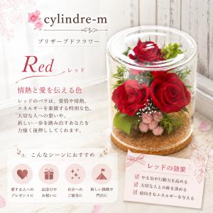 誕生日プレゼント 女性 花 ギフト プリザーブ...の詳細画像4
