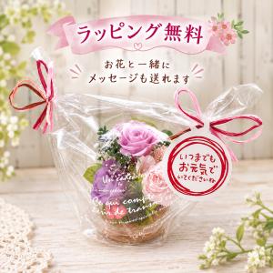 敬老の日 長寿祝い 女性 母 プレゼント 花 ...の詳細画像4
