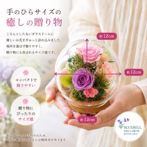 敬老の日 長寿祝い 女性 母 プレゼント 花 ...の詳細画像5