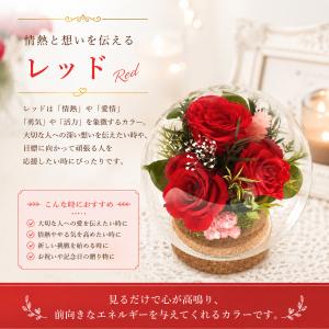 結婚記念日 プレゼント 妻 花 ギフト プリザ...の詳細画像4