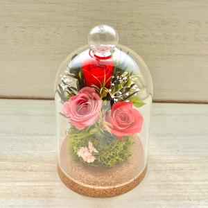 プリザーブドフラワー ギフト 花 ガラスドーム...の詳細画像2