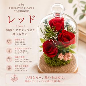 プリザーブドフラワー お祝い ガラスドーム 花...の詳細画像5
