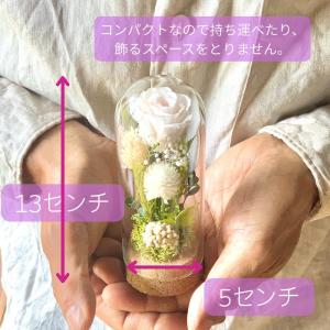 ペット供養 花 プリザーブドフラワー ガラスド...の詳細画像2