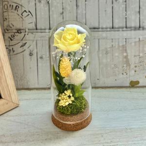 ペット供養 花 プリザーブドフラワー ガラスド...の詳細画像4