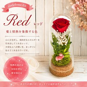 プチギフトに人気のプリザーブドフラワー|小さな...の詳細画像4
