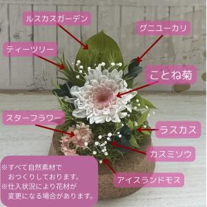 ペット供養 花 プリザーブドフラワー ガラスド...の詳細画像3