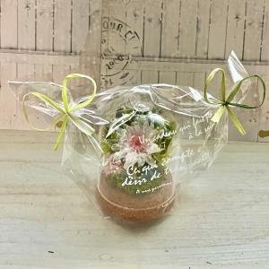 ペット供養 花 プリザーブドフラワー ガラスド...の詳細画像5