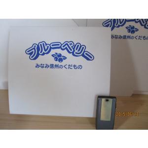 予約販売  【ブルーベリー生果実】 500g×2パック　