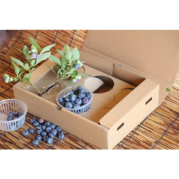 南信州産 ブルーベリー, 贈答用 大粒果実、  ２キロ、