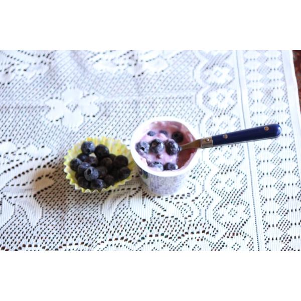 ブルーベリー冷凍  ジャム用 1キロ 農家お取り寄せ