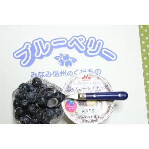 ブルーベリー 冷凍 大中小のミックス品 生食用  １キロ