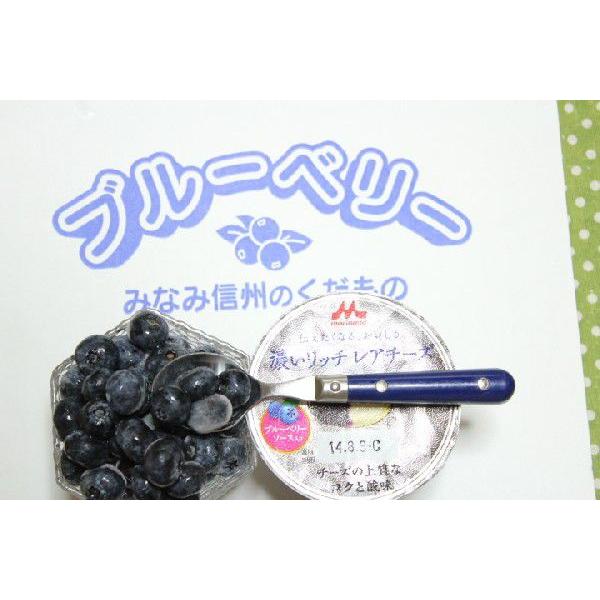 ブルーベリー 冷凍 大中小のミックス品 生食用  １キロ
