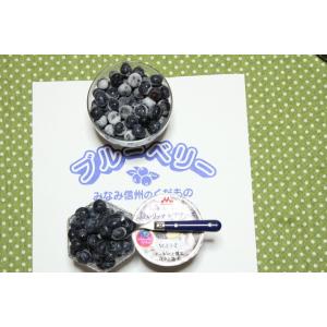 南信州産 冷凍ブルーベリー　ハーバート　900g