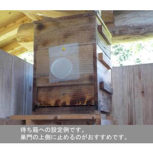 キンリョウヘンの人工合成剤 日本ミツバチ・ルア...の詳細画像2