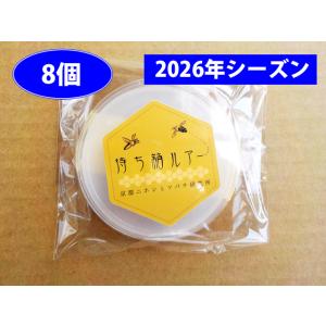 ミツバチ誘引ルアー　6個セット ニホンミツバチ誘引セット！待ち箱ルアー3つと蜜蝋80gのセット 週末 : 採集・採集道具