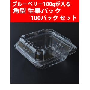ブルーベリー 100g 用パック 6個が入る専用贈答箱 25入りケース