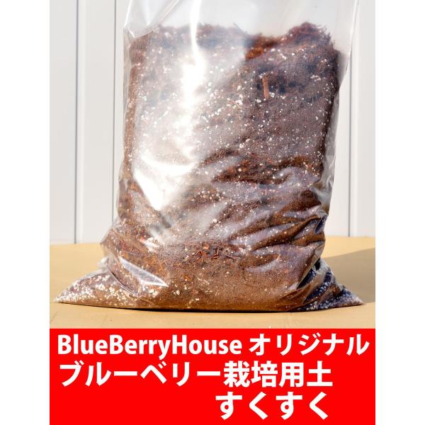 ブルーベリー栽培用土 すくすく 30リットル袋