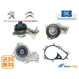 Saleri SIL 新品 アウディ A6 C5 3.0 クワトロ 4BASNF ウォーター