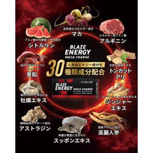 BLAZE ENERGY マカ チャージ 30...の詳細画像2