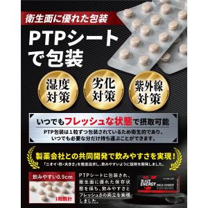 BLAZE ENERGY マカ チャージ 30...の詳細画像5