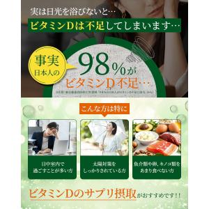 ピュアビタD 高濃度 ビタミンD 2,000I...の詳細画像2