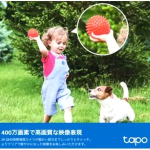 TP-Link tapo フルワイヤレス セキ...の詳細画像5