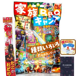 花火 セット 手持ち花火 はなび 線香花火 噴出花火 家族でBBQ花火 ベーシックセット｜ブルーセントラル本店